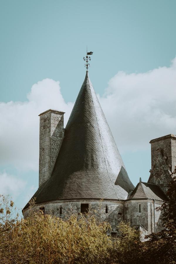 Chateau De Crazannes Exterior foto